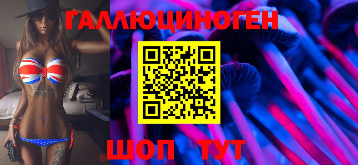 Псилоцибиновые грибы мицелий  Вход с VPN  как найти   Юрга 